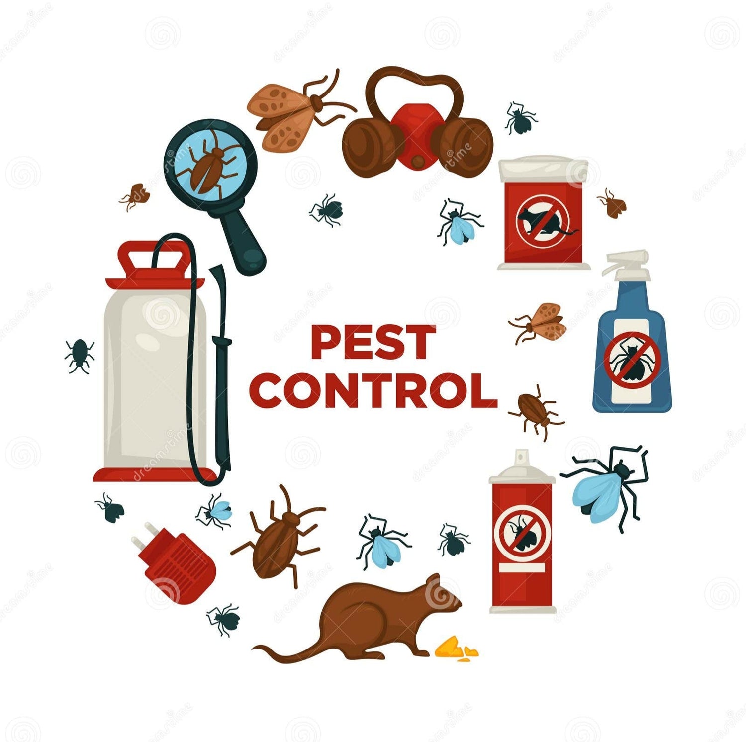 Pest Control Solutions